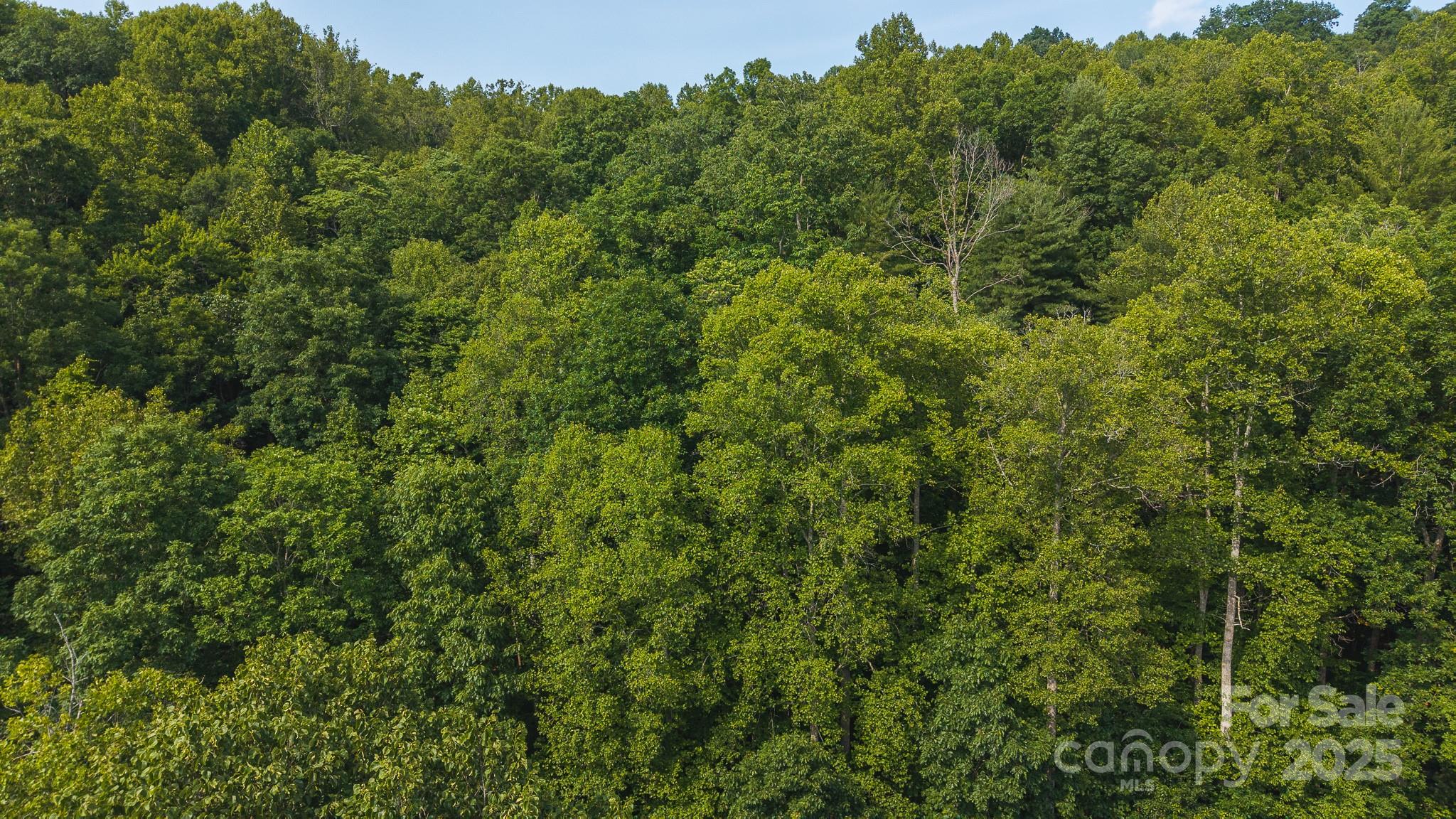 0 Brushy Mountain Road Moravian Falls NC 28654