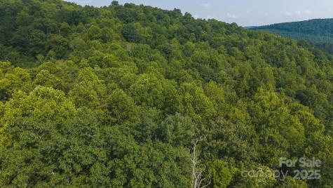 0 Brushy Mountain Road Moravian Falls NC 28654