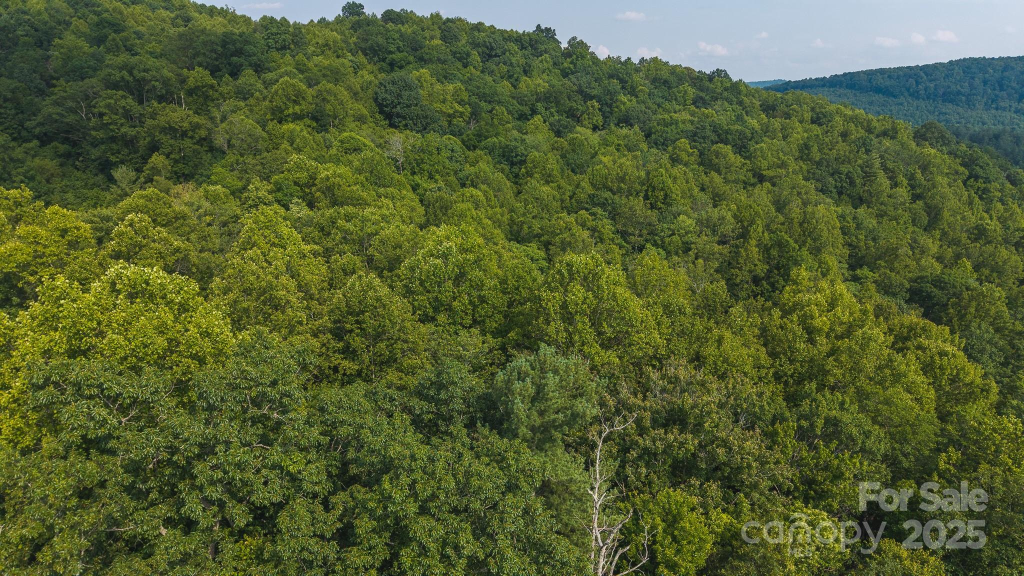 0 Brushy Mountain Road Moravian Falls NC 28654