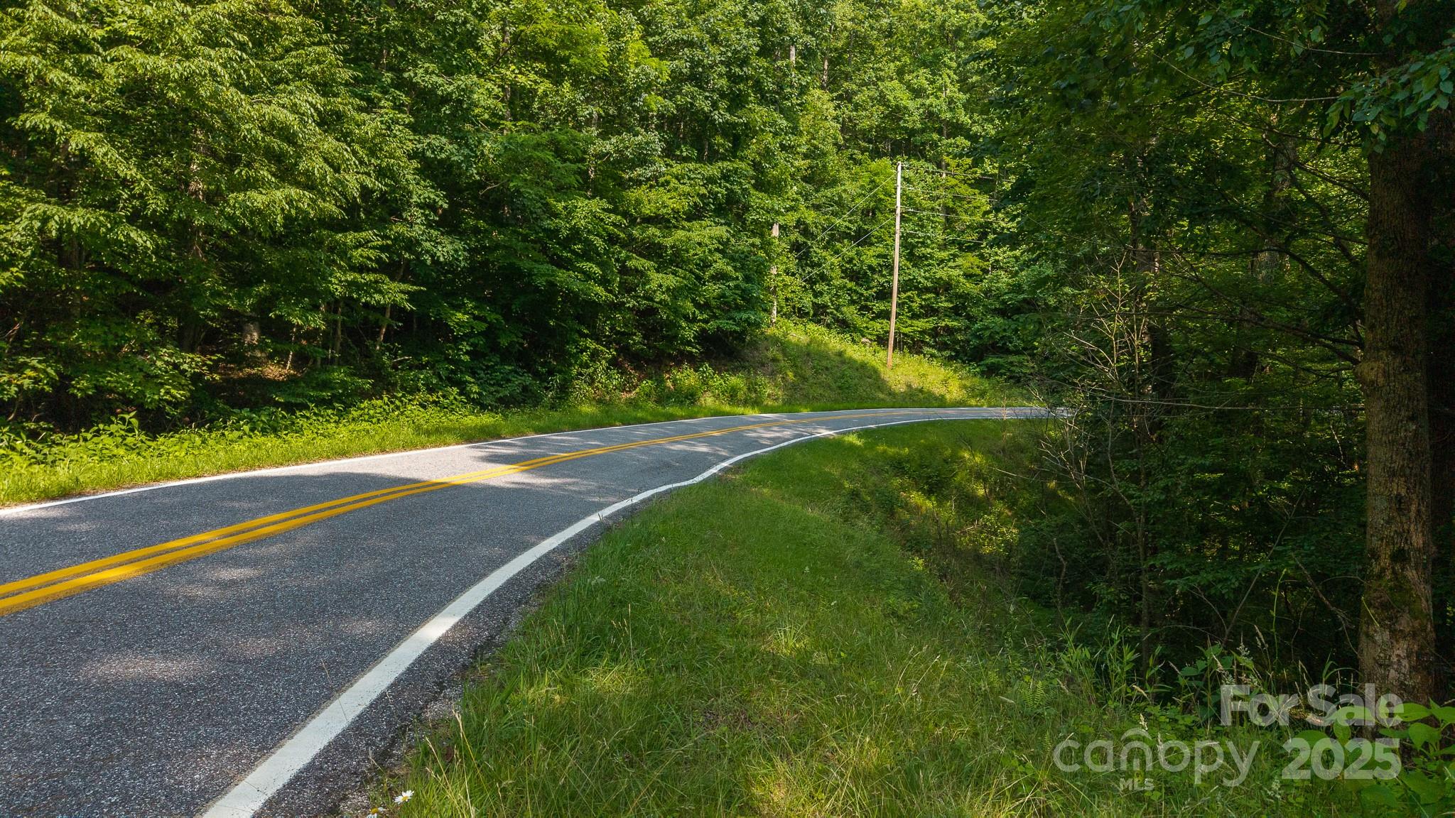 0 Brushy Mountain Road Moravian Falls NC 28654