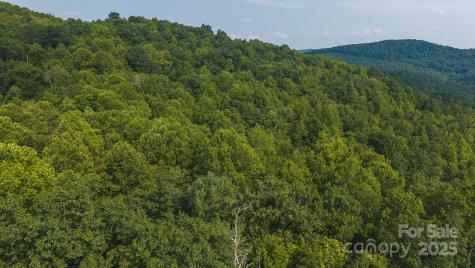 0 Brushy Mountain Road Moravian Falls NC 28654