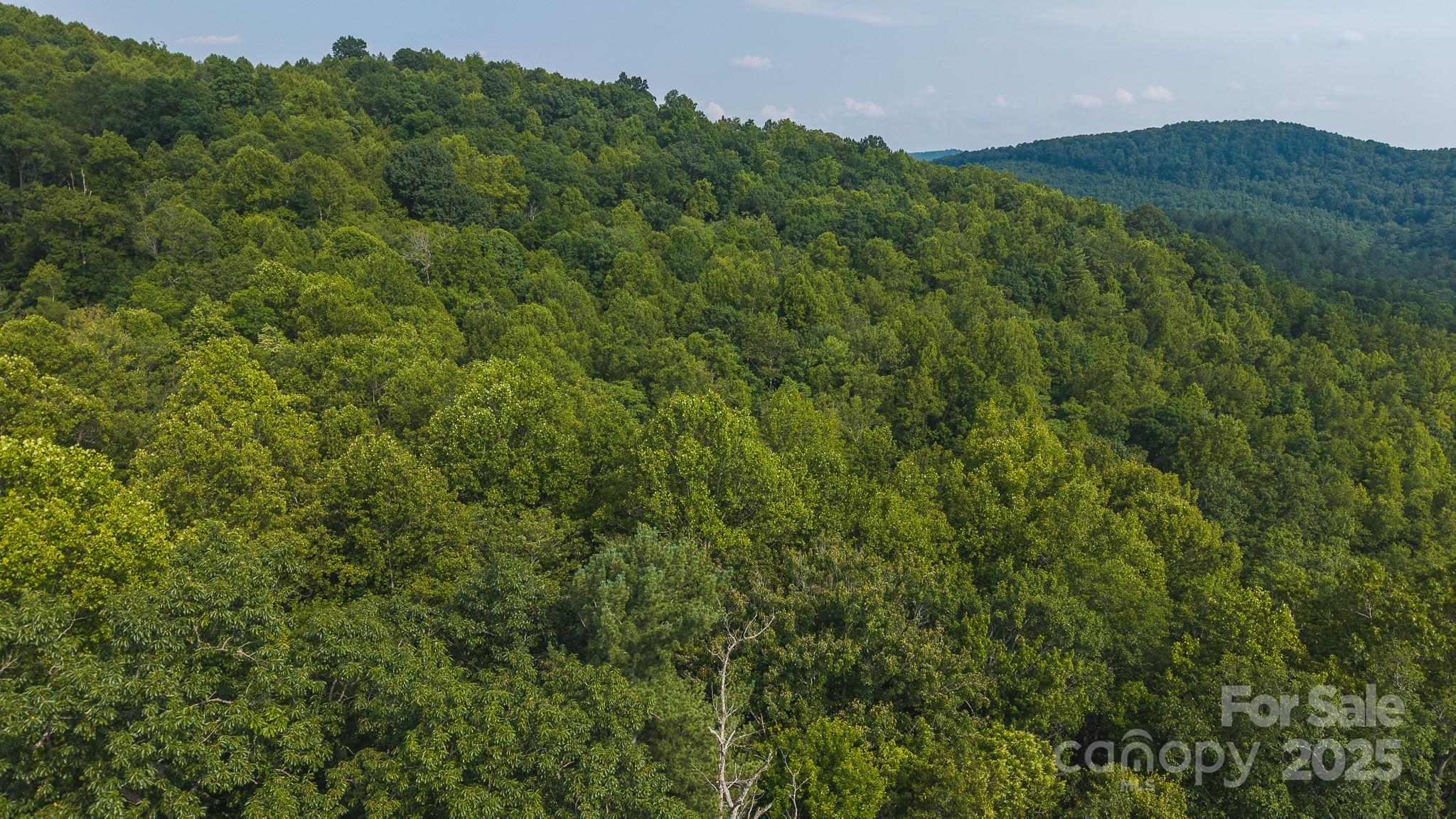 0 Brushy Mountain Road Moravian Falls NC 28654