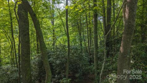 0 Brushy Mountain Road Moravian Falls NC 28654