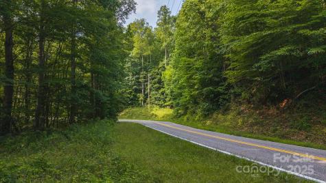 0 Brushy Mountain Road Moravian Falls NC 28654