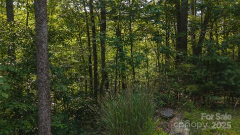 0 Brushy Mountain Road Moravian Falls NC 28654