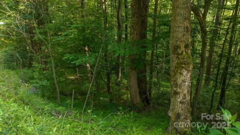 0 Brushy Mountain Road Moravian Falls NC 28654