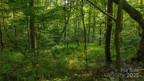 0 Brushy Mountain Road Moravian Falls NC 28654