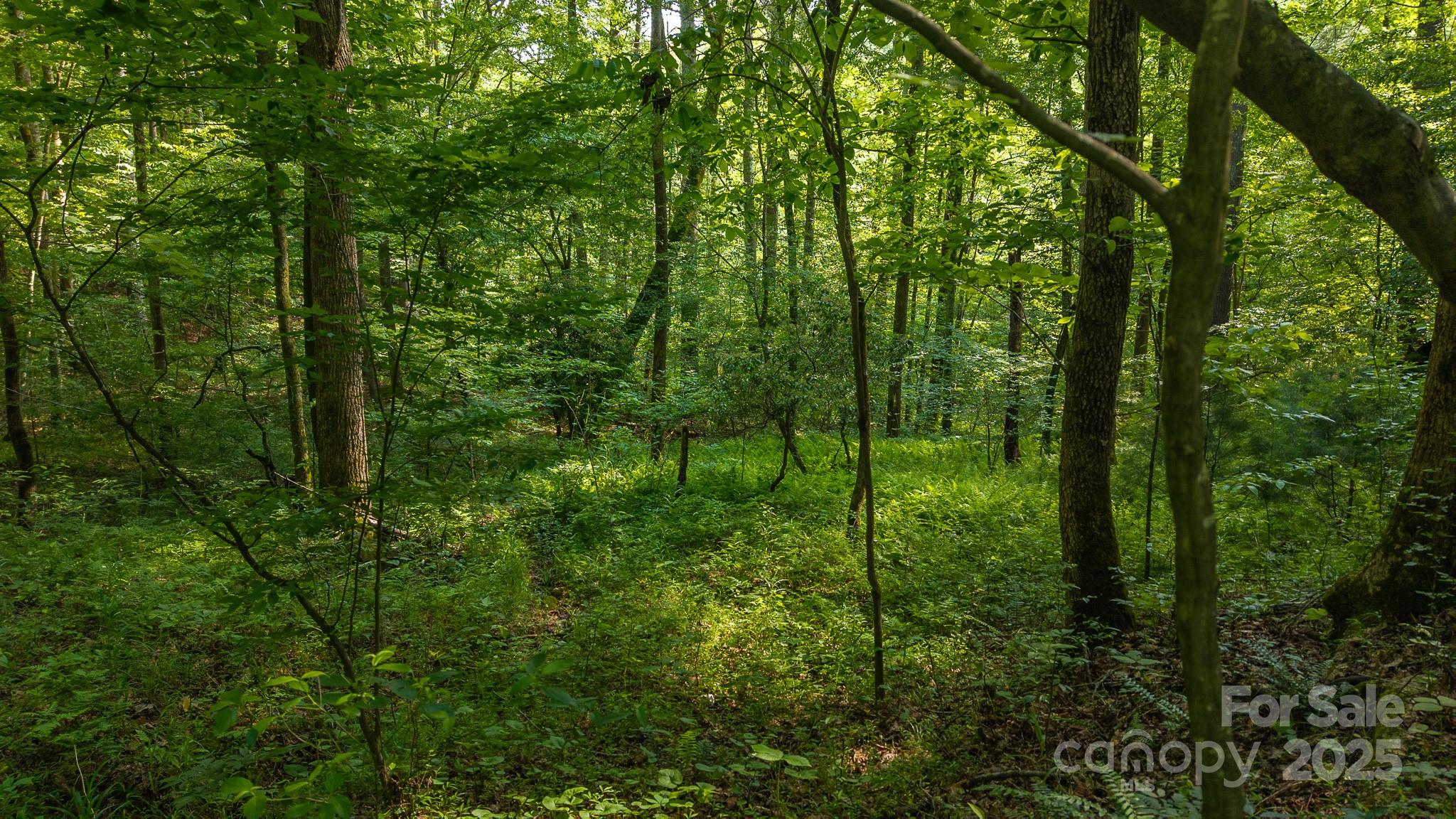 0 Brushy Mountain Road Moravian Falls NC 28654