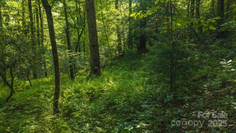 0 Brushy Mountain Road Moravian Falls NC 28654