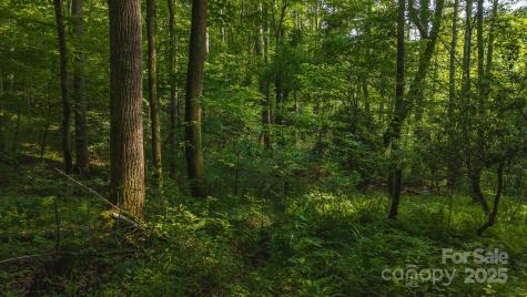 0 Brushy Mountain Road Moravian Falls NC 28654