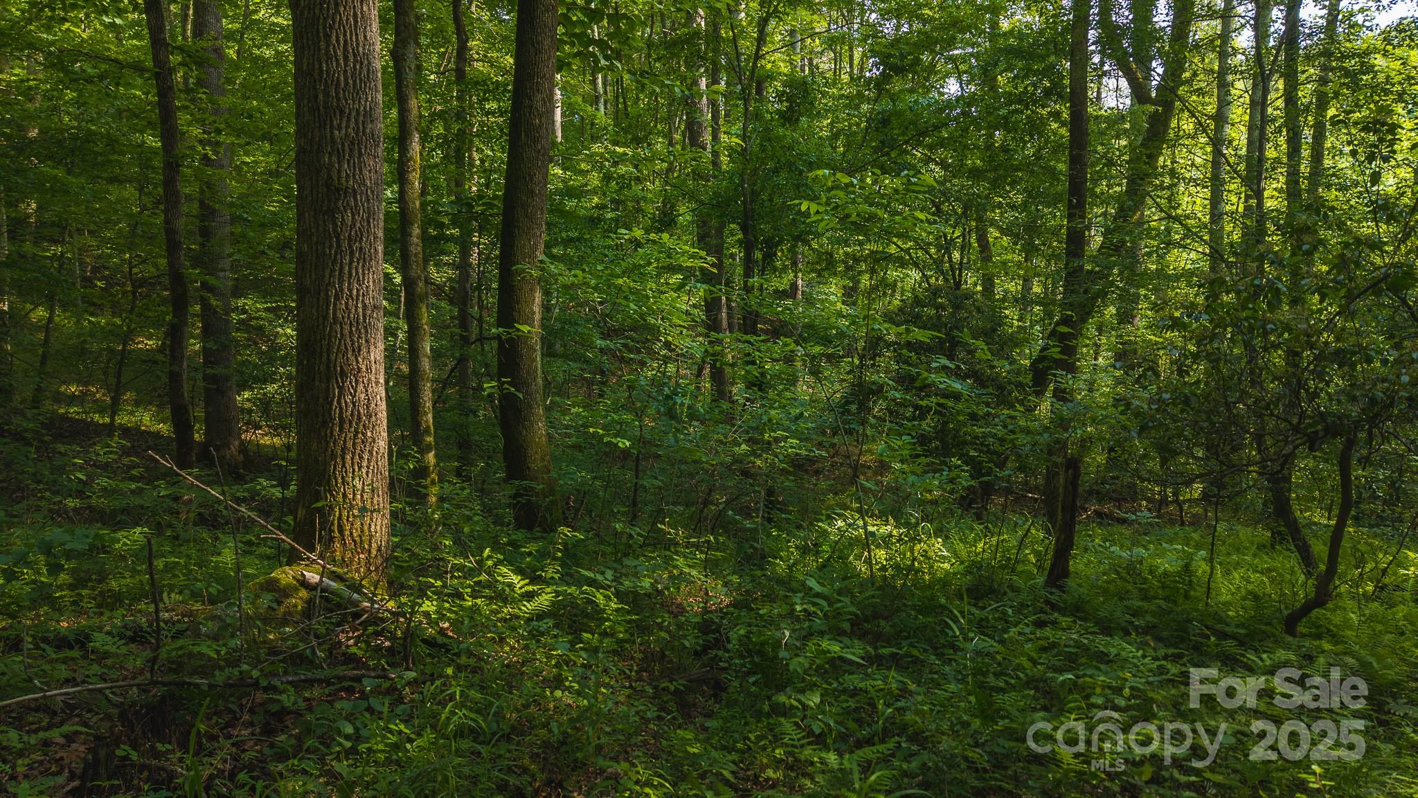 0 Brushy Mountain Road Moravian Falls NC 28654