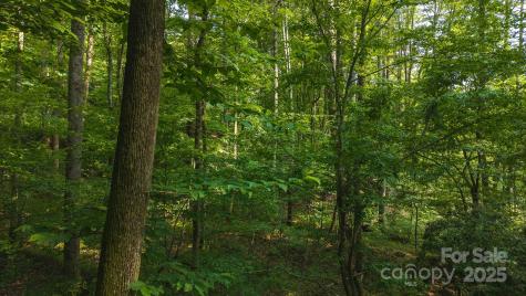 0 Brushy Mountain Road Moravian Falls NC 28654