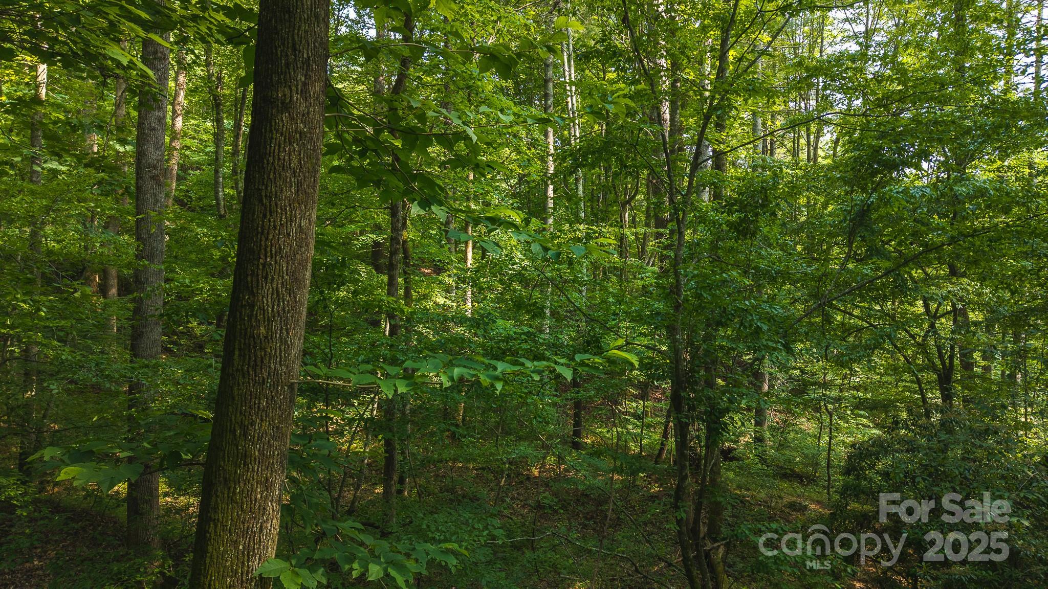 0 Brushy Mountain Road Moravian Falls NC 28654