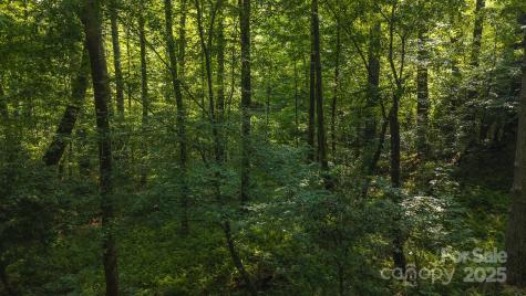 0 Brushy Mountain Road Moravian Falls NC 28654