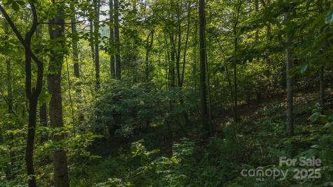 0 Brushy Mountain Road Moravian Falls NC 28654
