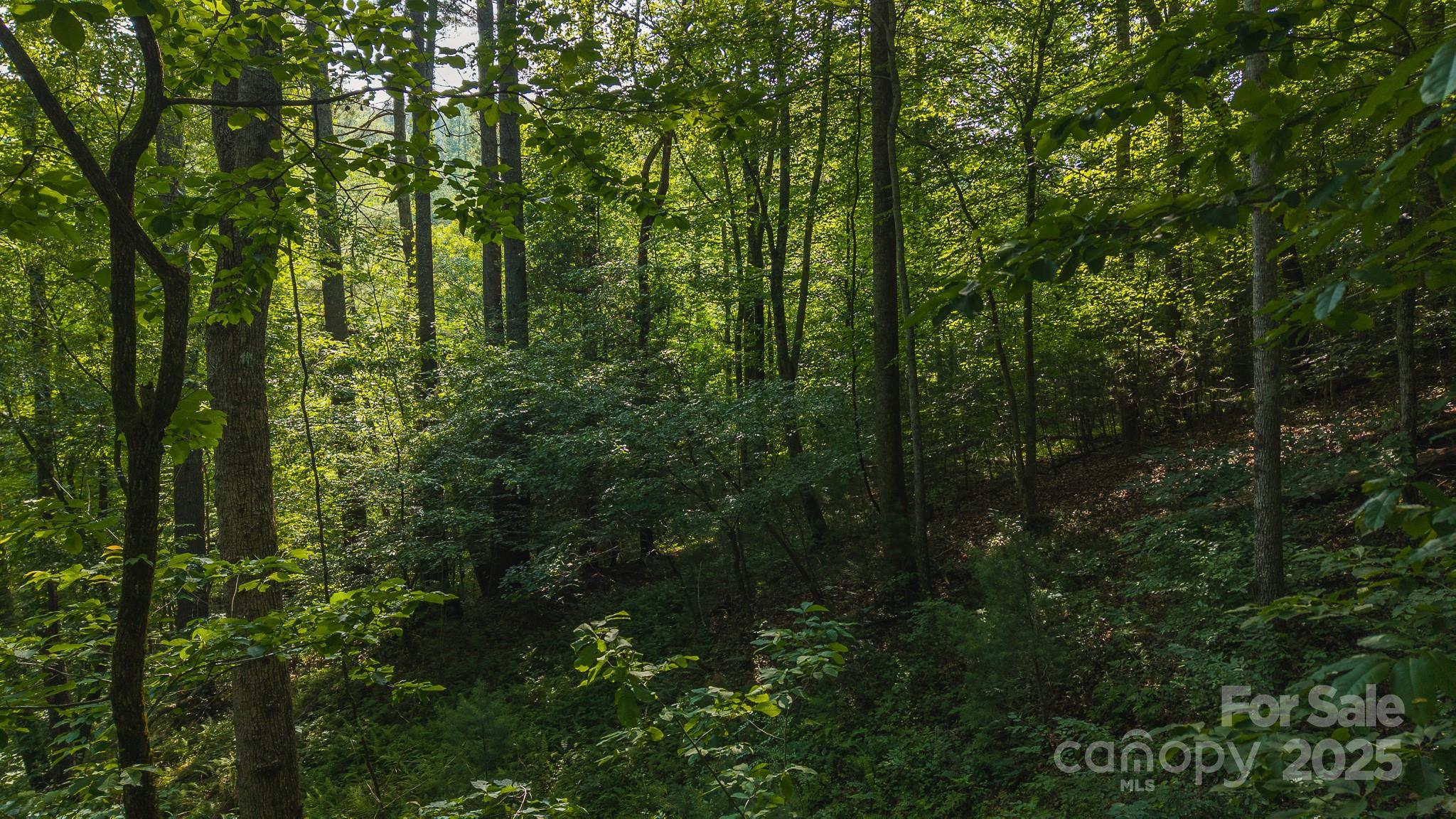 0 Brushy Mountain Road Moravian Falls NC 28654