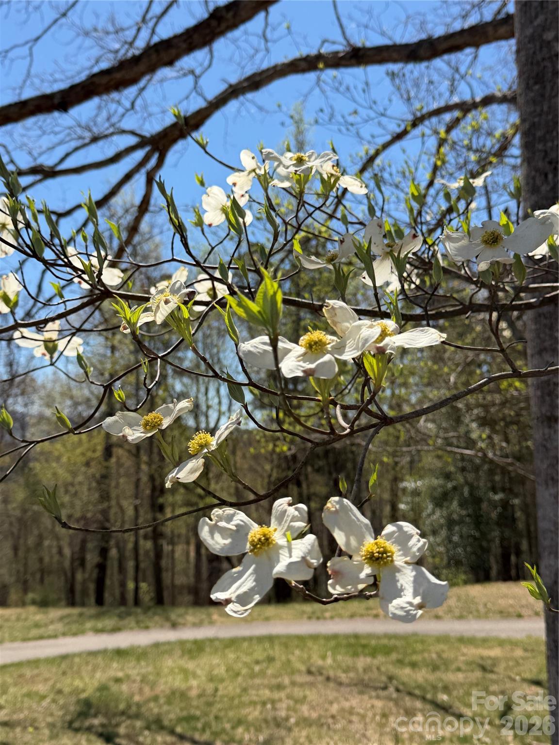 99999 Chestertown Drive Mill Spring NC 28756