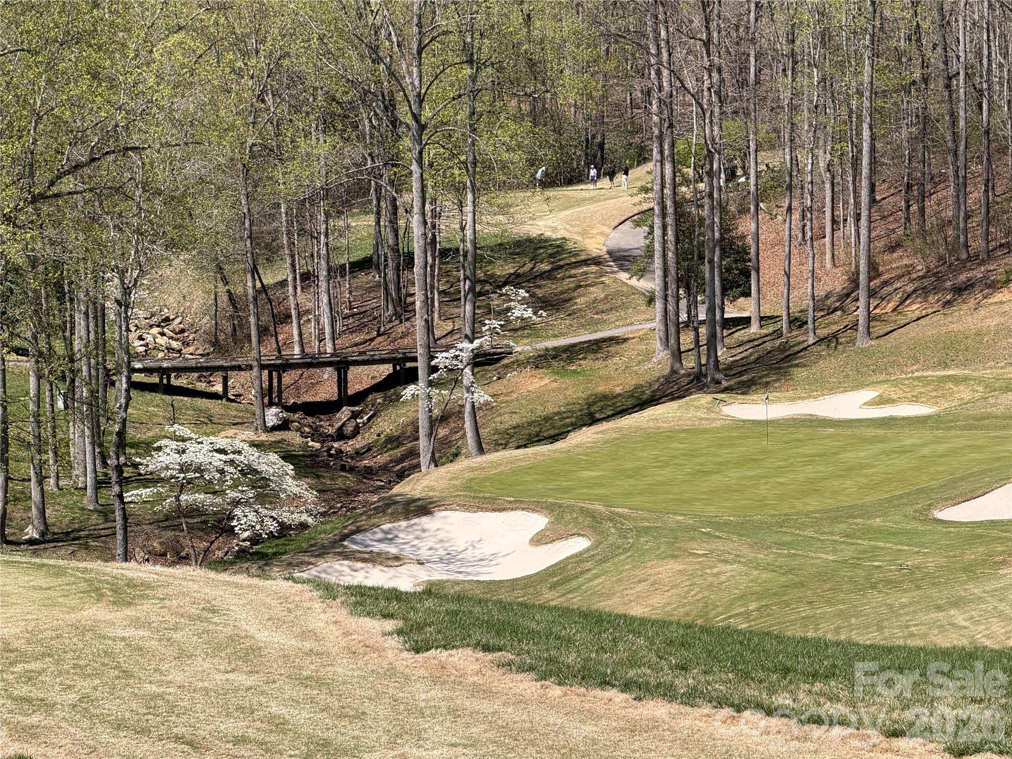 99999 Chestertown Drive Mill Spring NC 28756
