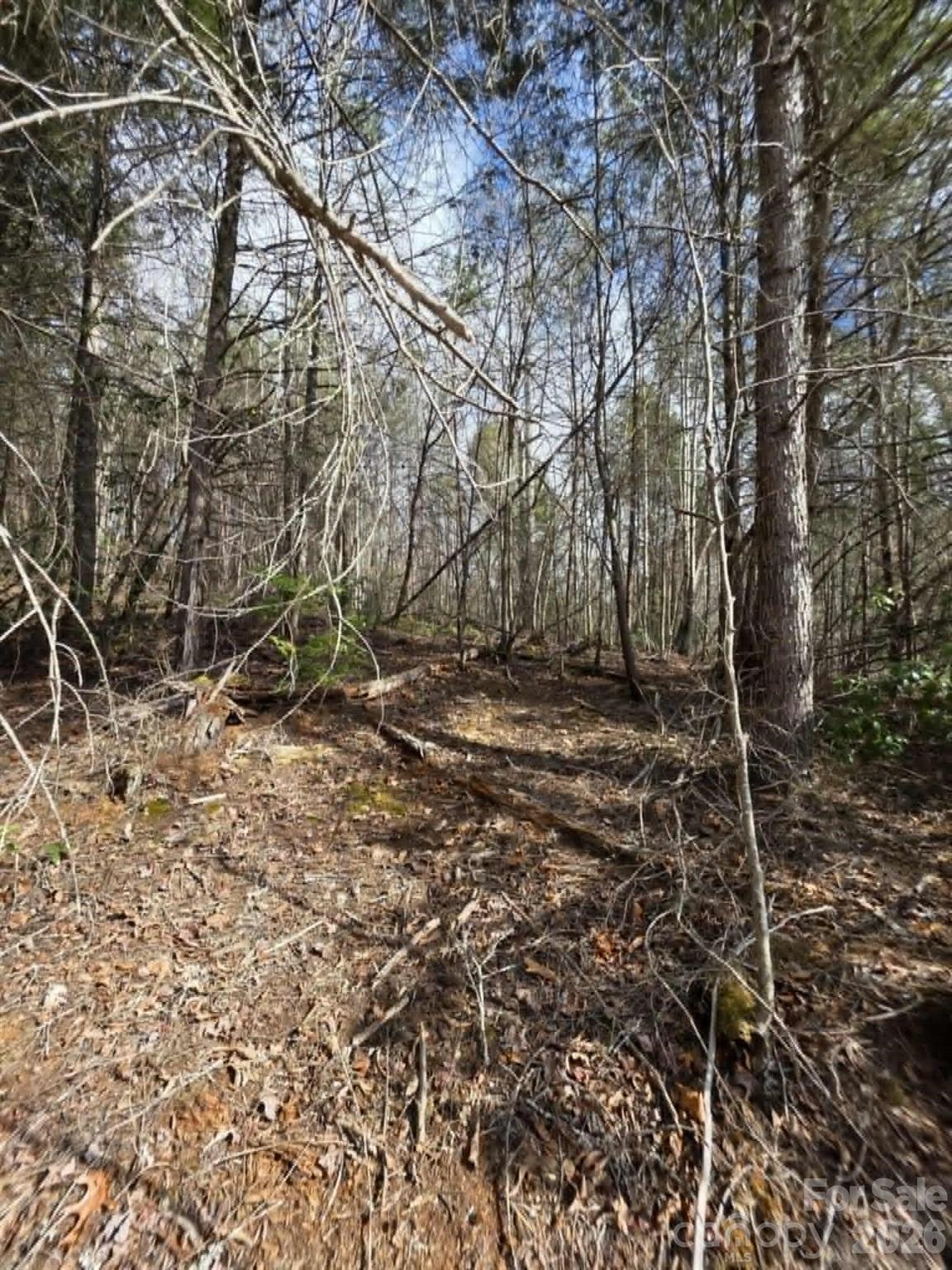 Lot 7 Kerlee Lane Old Fort NC 28762
