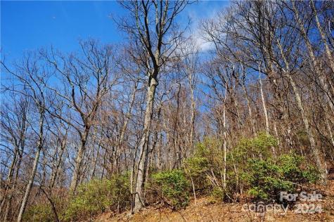 35 Wedgewood Terrace Black Mountain NC 28711