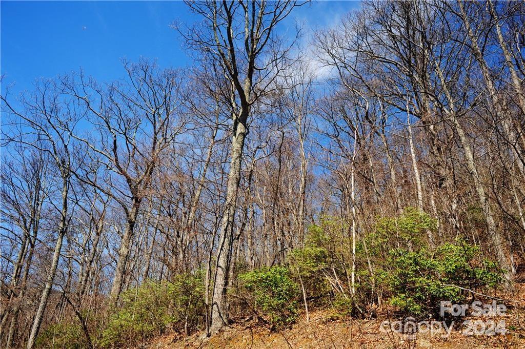 35 Wedgewood Terrace Black Mountain NC 28711