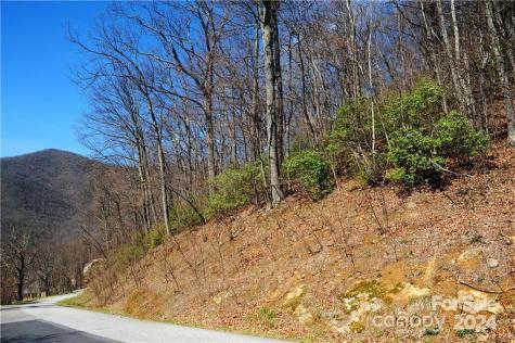 35 Wedgewood Terrace Black Mountain NC 28711