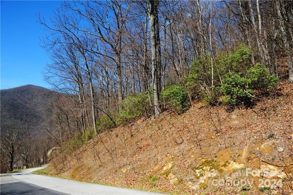 35 Wedgewood Terrace Black Mountain NC 28711