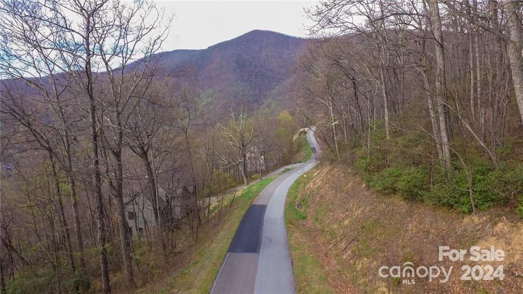 35 Wedgewood Terrace Black Mountain NC 28711