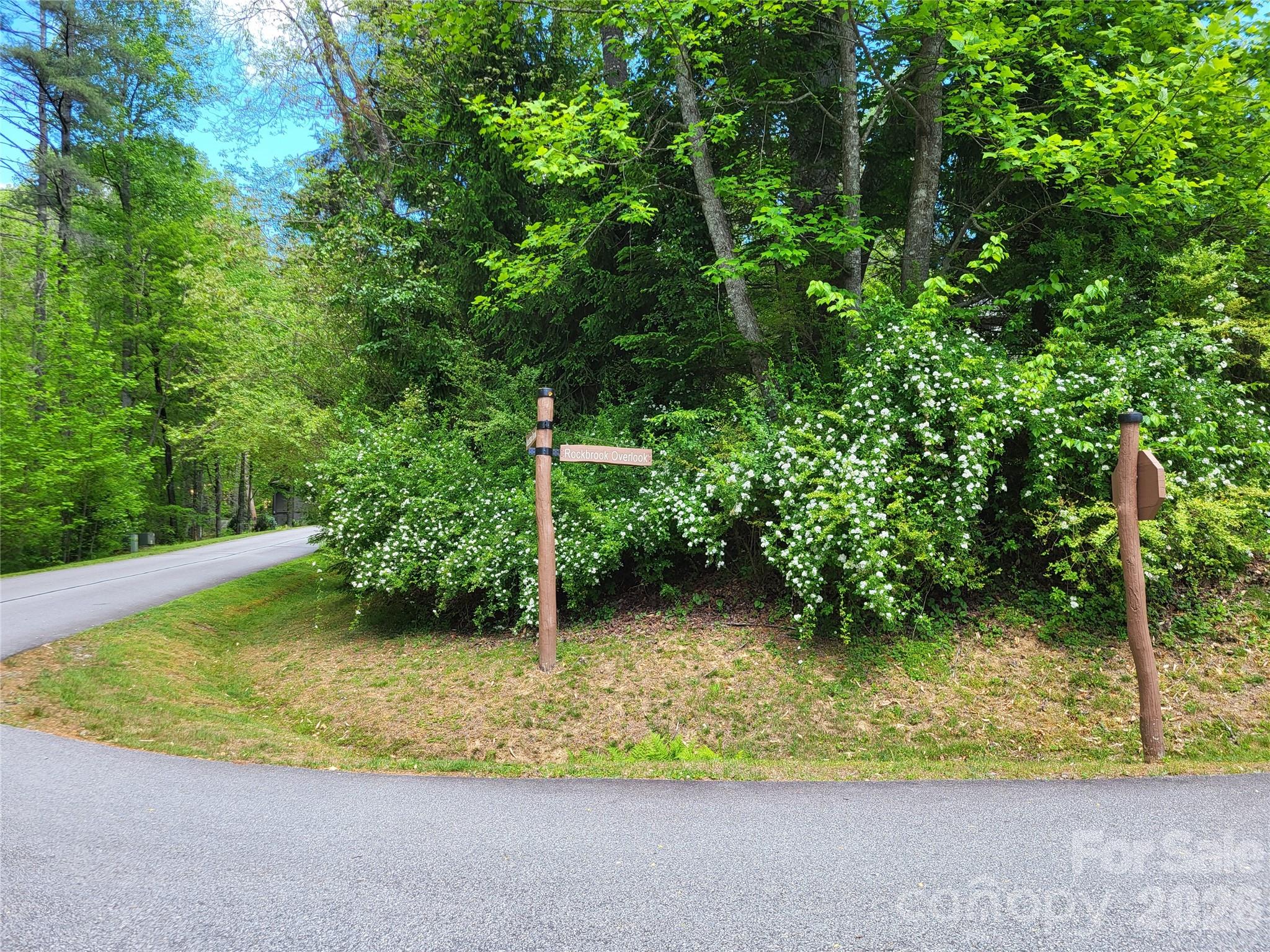 20 Rockbrook Overlook Brevard NC 28712