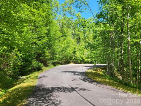 20 Rockbrook Overlook Brevard NC 28712