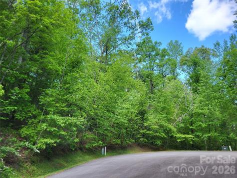 20 Rockbrook Overlook Brevard NC 28712