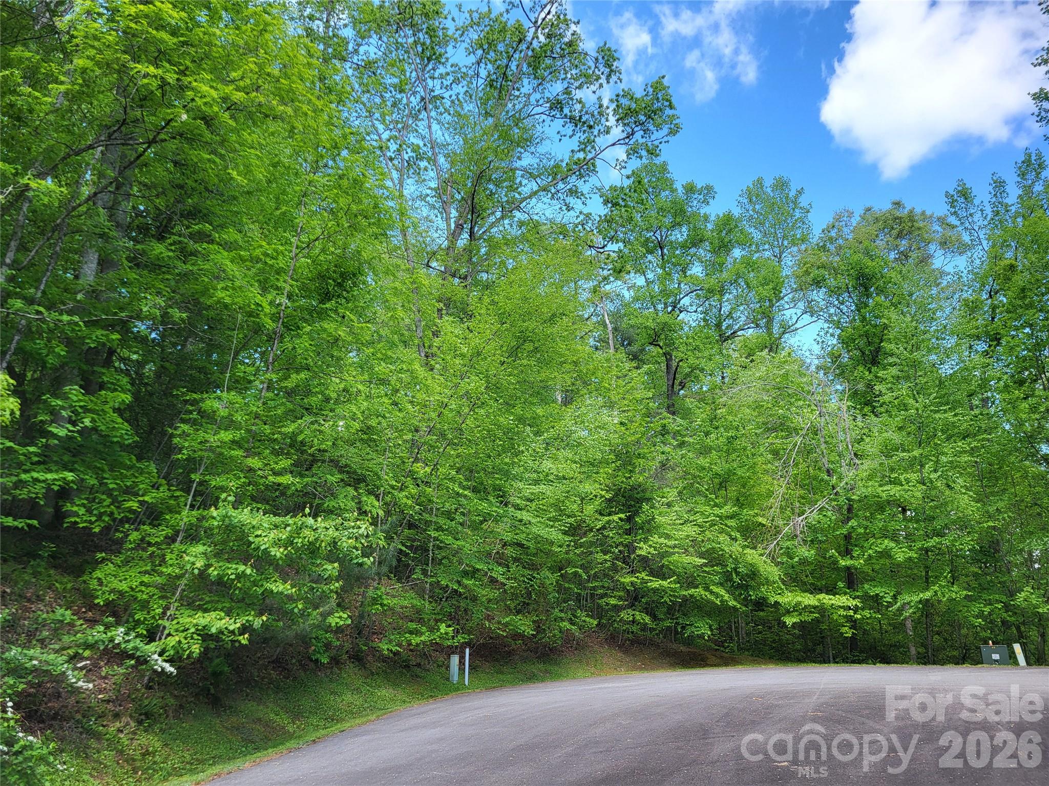 20 Rockbrook Overlook Brevard NC 28712