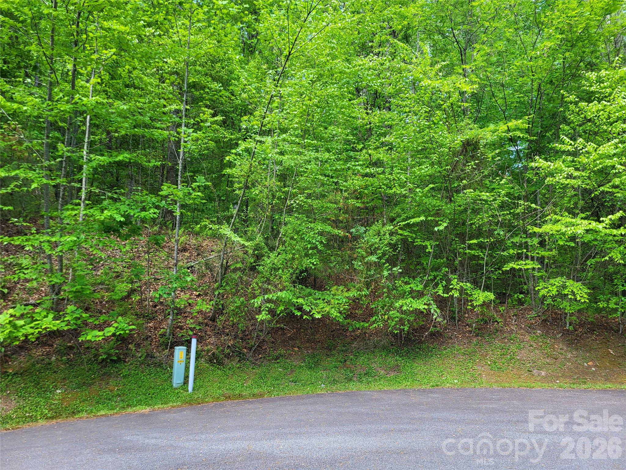 20 Rockbrook Overlook Brevard NC 28712