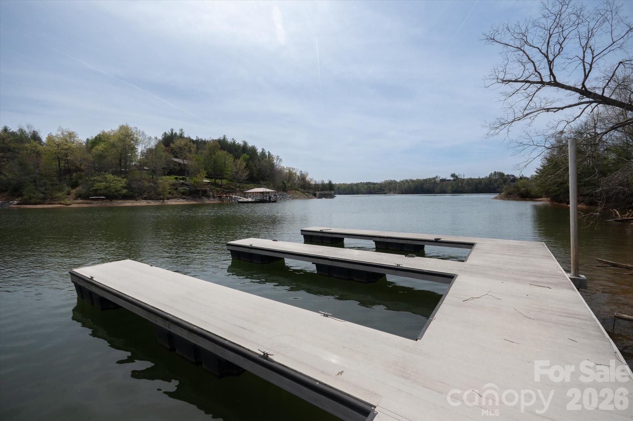 103 Big Tree Way Nebo NC 28761