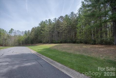103 Big Tree Way Nebo NC 28761