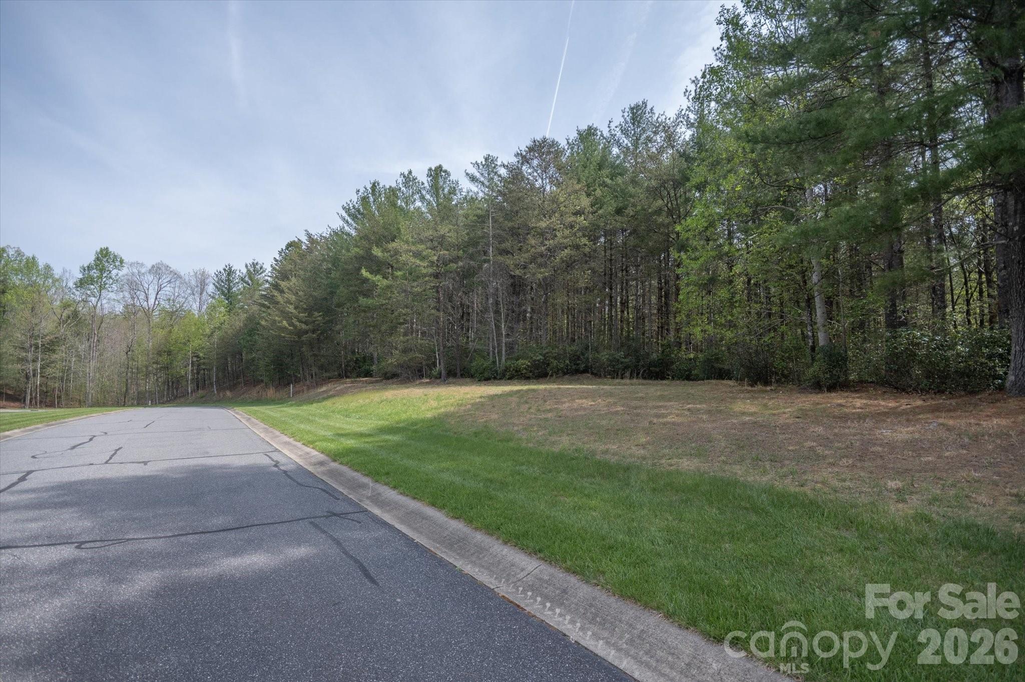 103 Big Tree Way Nebo NC 28761