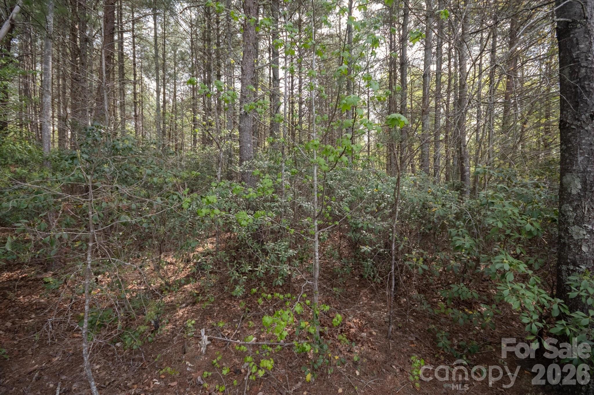 103 Big Tree Way Nebo NC 28761