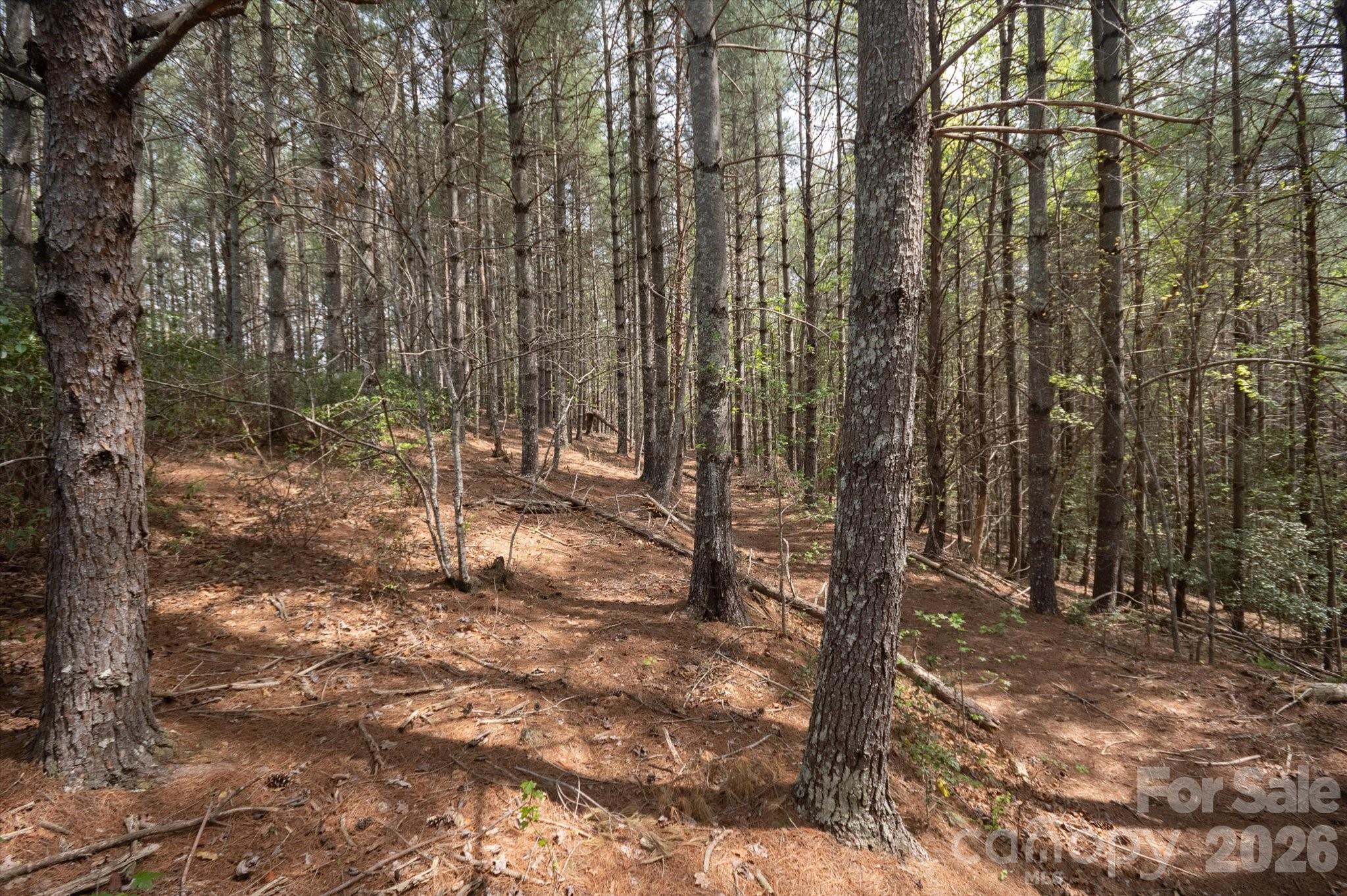 103 Big Tree Way Nebo NC 28761