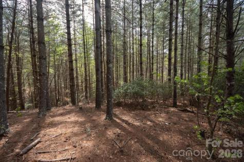 103 Big Tree Way Nebo NC 28761