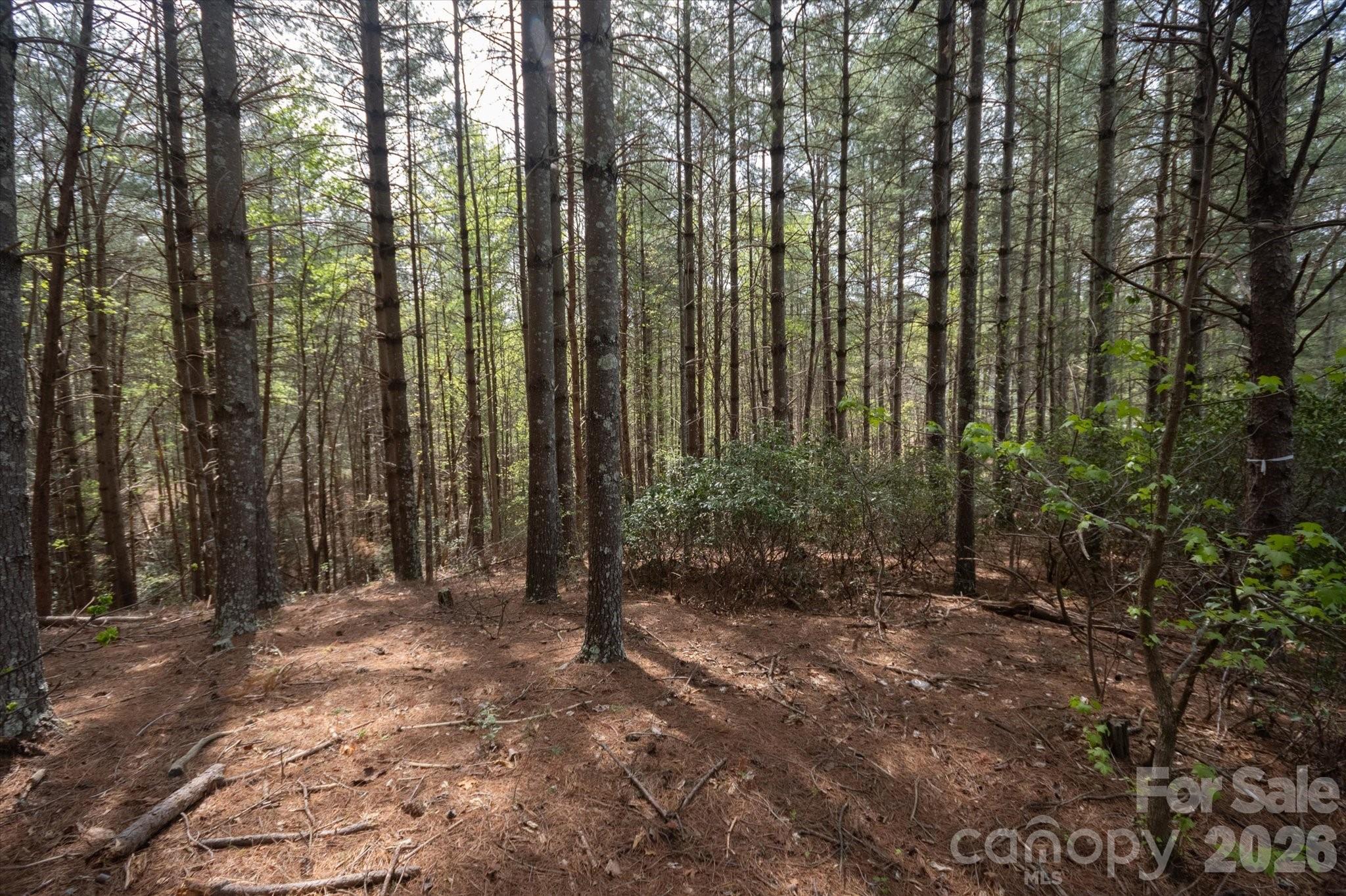 103 Big Tree Way Nebo NC 28761