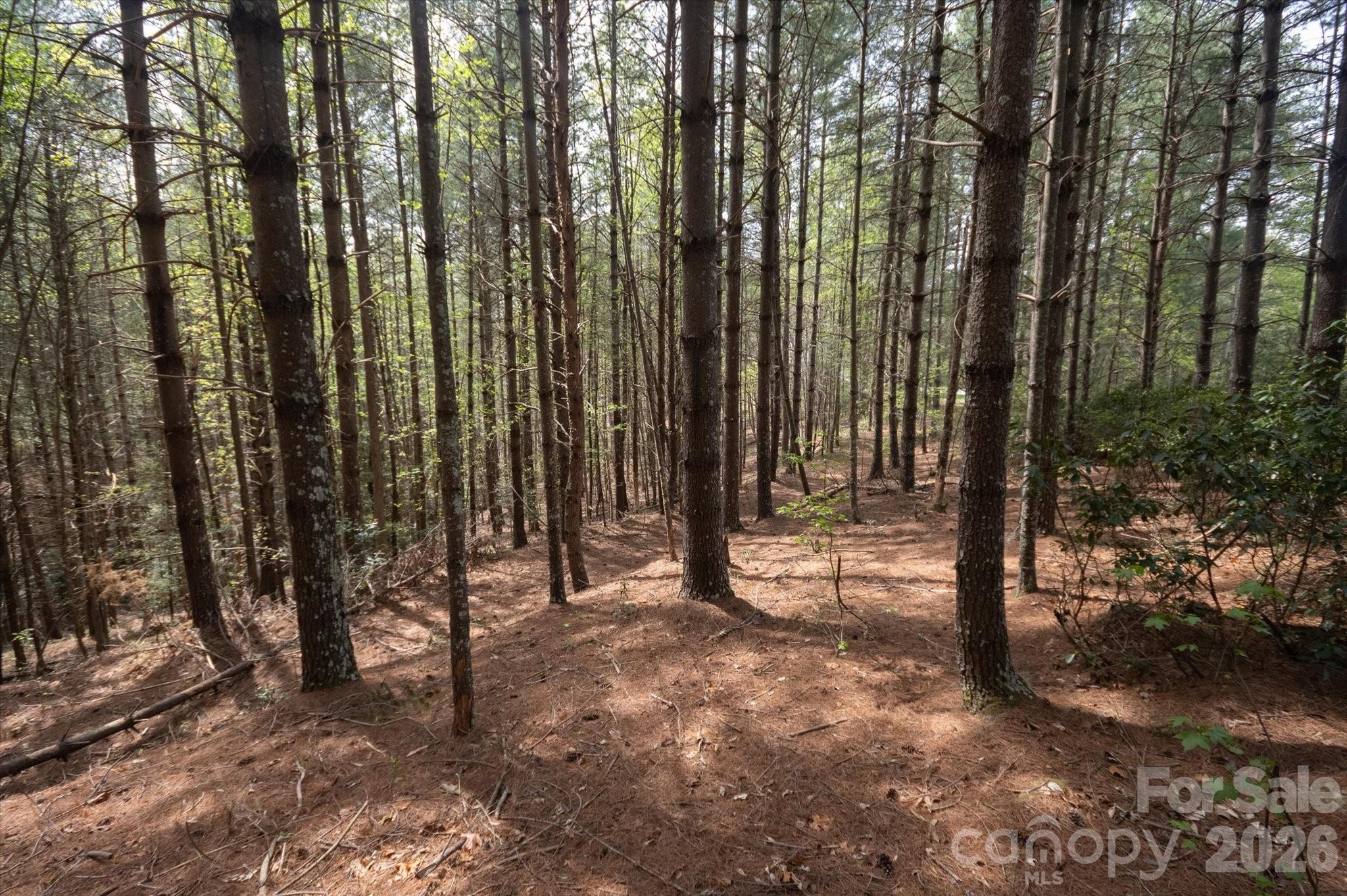 103 Big Tree Way Nebo NC 28761