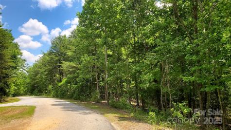 755 Hamilton Drive Columbus NC 28722