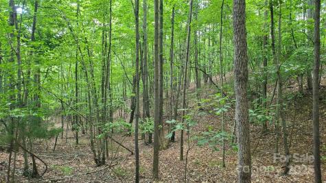 755 Hamilton Drive Columbus NC 28722