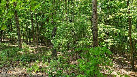 755 Hamilton Drive Columbus NC 28722