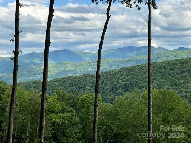 Lot 284 Running Deer Trail Waynesville NC 28786