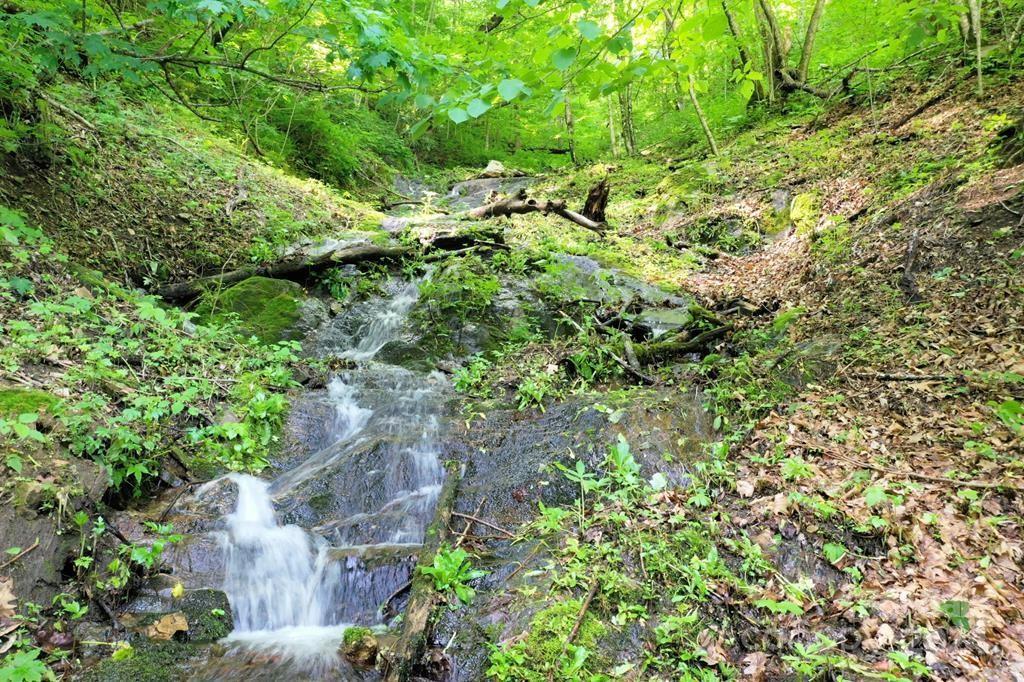 Lot 284 Running Deer Trail Waynesville NC 28786
