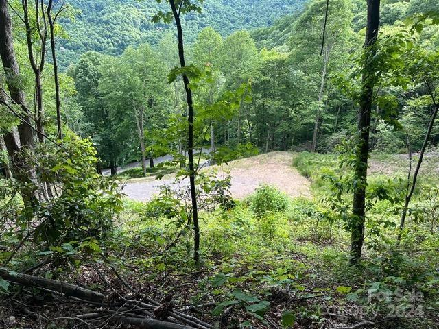 Lot 284 Running Deer Trail Waynesville NC 28786