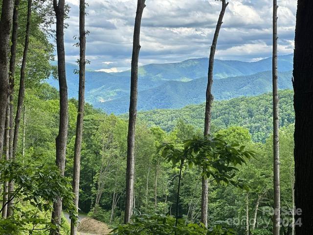 Lot 284 Running Deer Trail Waynesville NC 28786