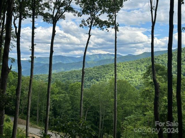 Lot 284 Running Deer Trail Waynesville NC 28786
