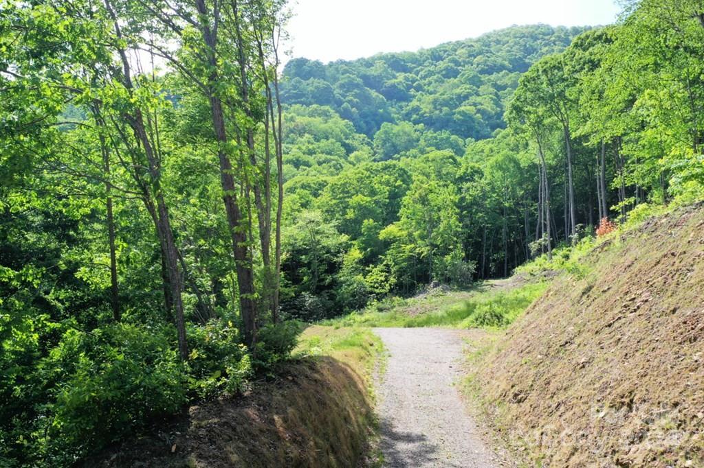 Lot 284 Running Deer Trail Waynesville NC 28786